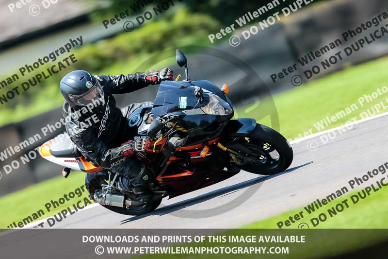 PJ Motorsport Photography 2020;anglesey;brands hatch;cadwell park;croft;donington park;enduro digital images;event digital images;eventdigitalimages;mallory;no limits;oulton park;peter wileman photography;racing digital images;silverstone;snetterton;trackday digital images;trackday photos;vmcc banbury run;welsh 2 day enduro